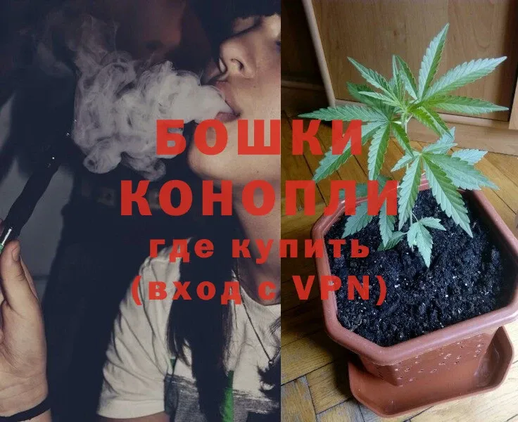 Конопля SATIVA & INDICA  хочу наркоту  Новокузнецк 